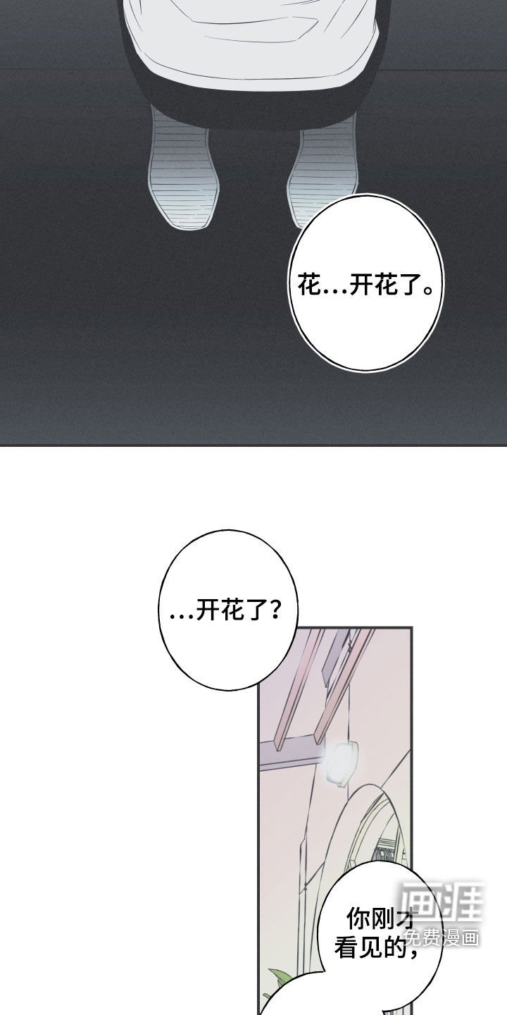 第27章：转世体