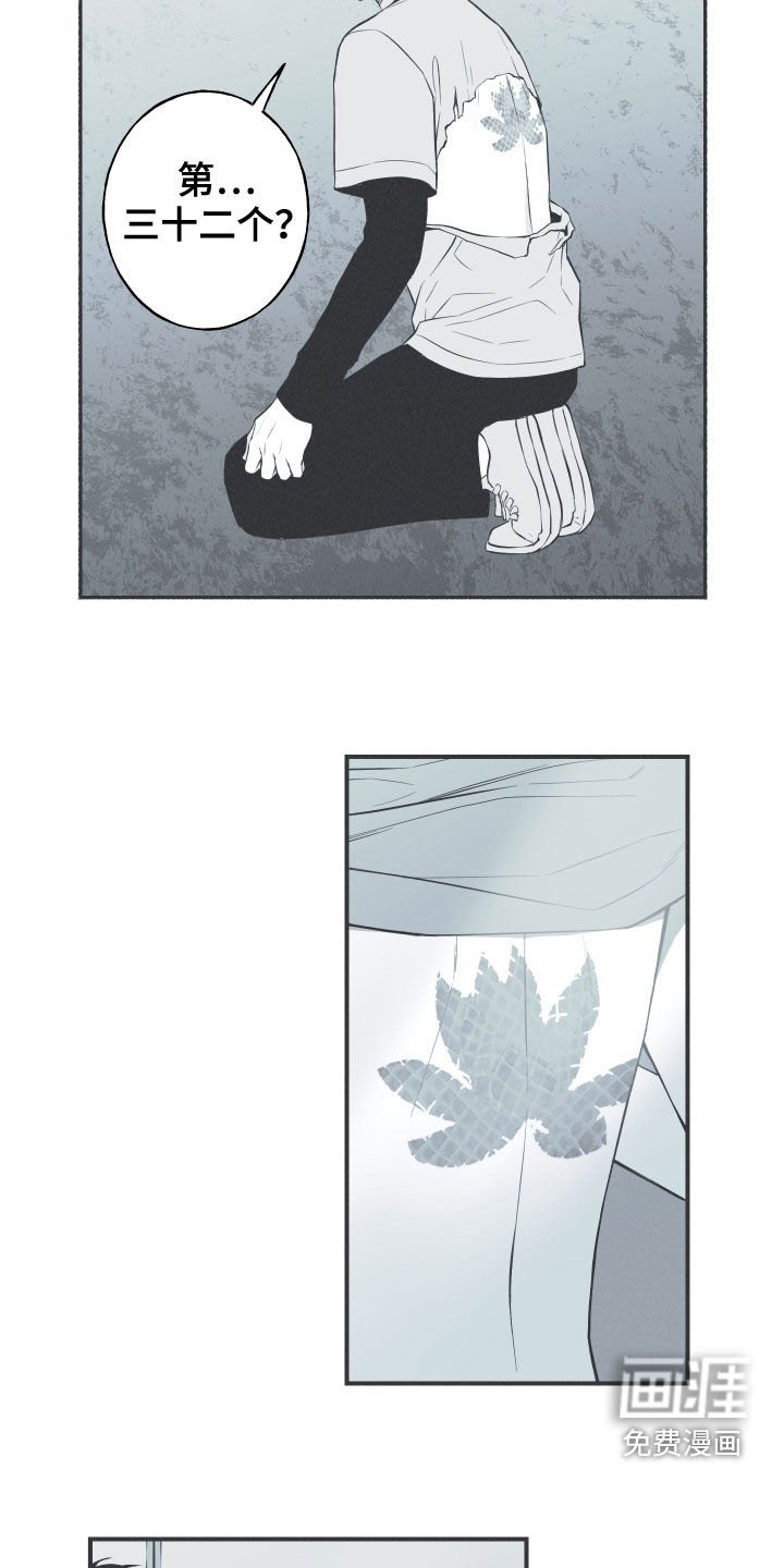 第27章：转世体