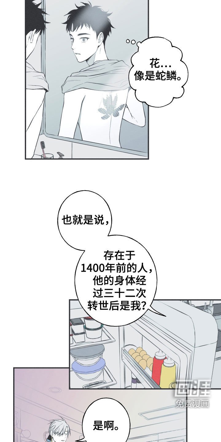 第27章：转世体
