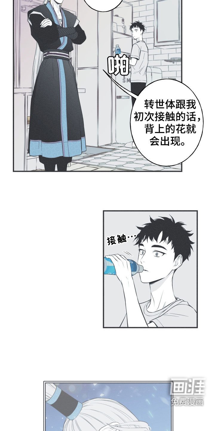 第27章：转世体