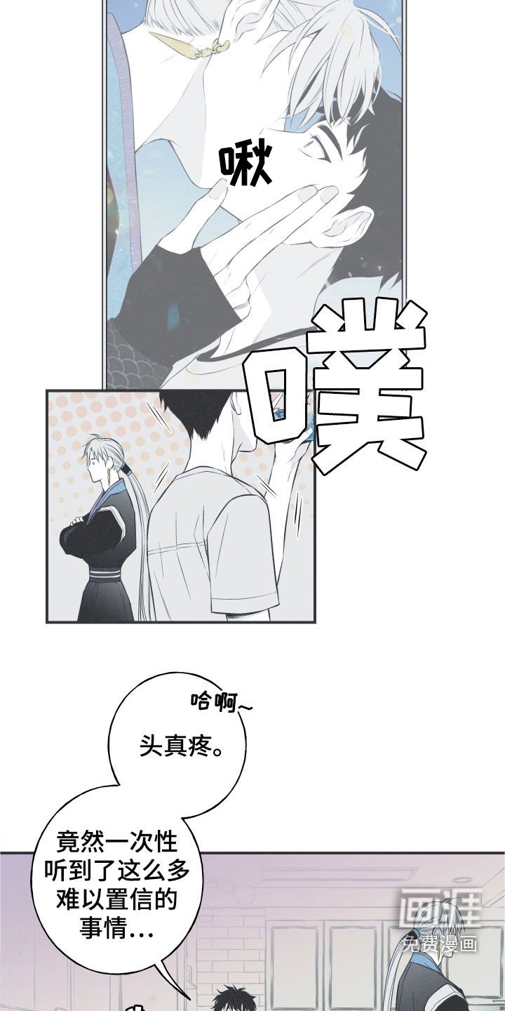 第27章：转世体