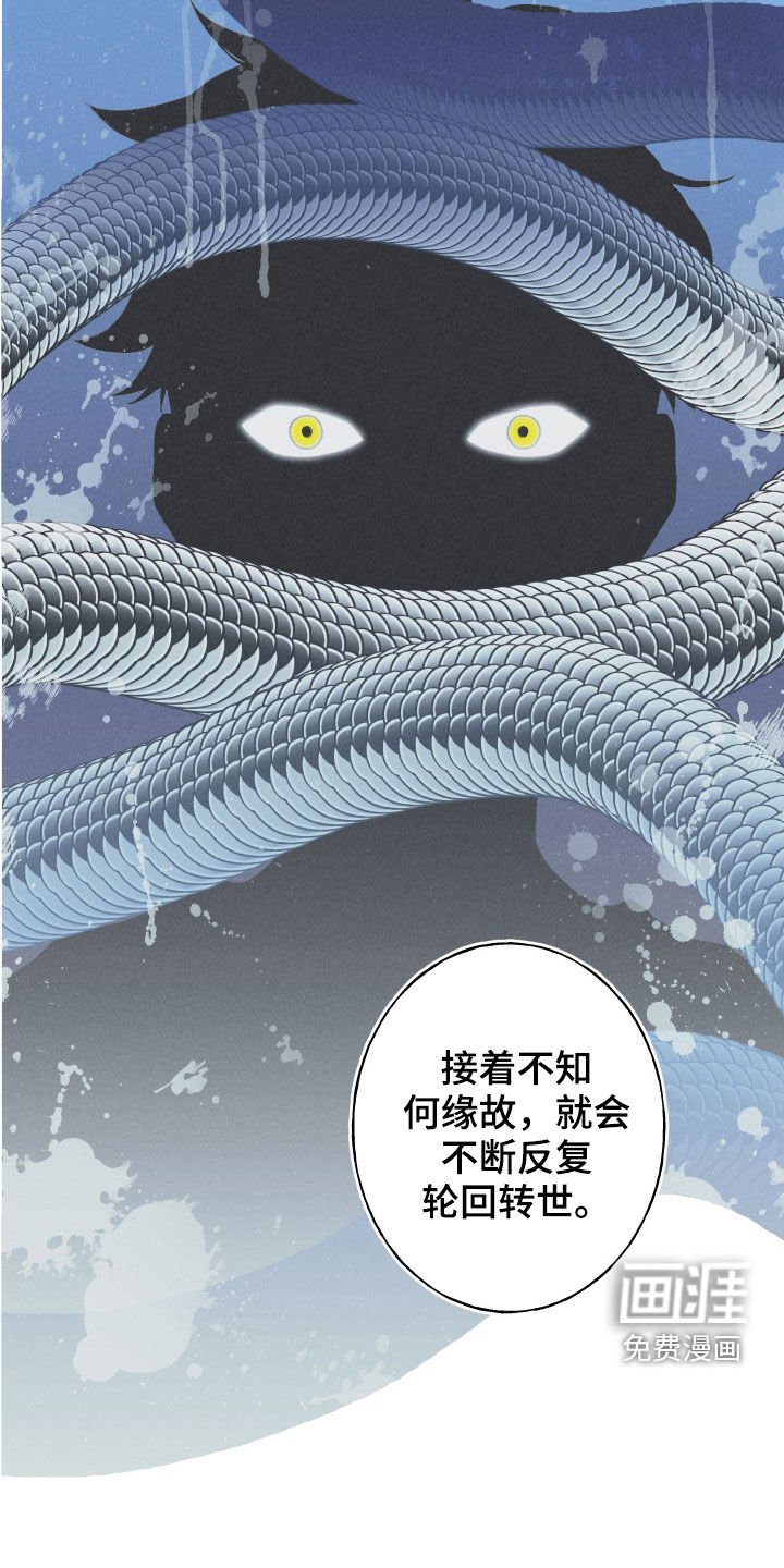 第27章：转世体