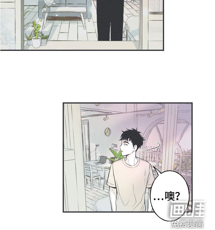 第28章：戒律