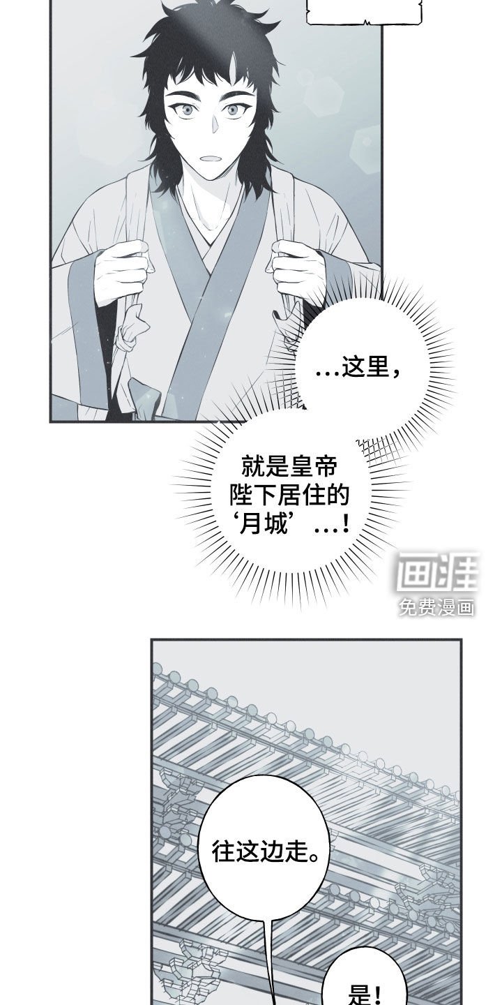 第32章：动物的语言