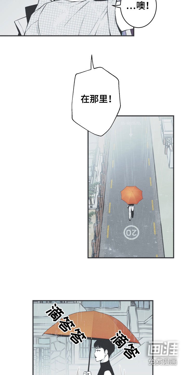 第34章：跟踪