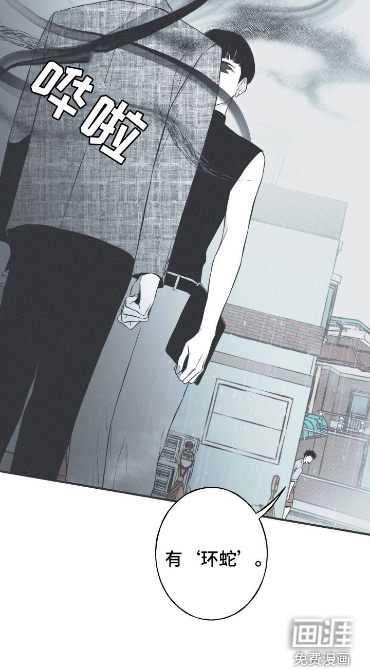 第34章：跟踪