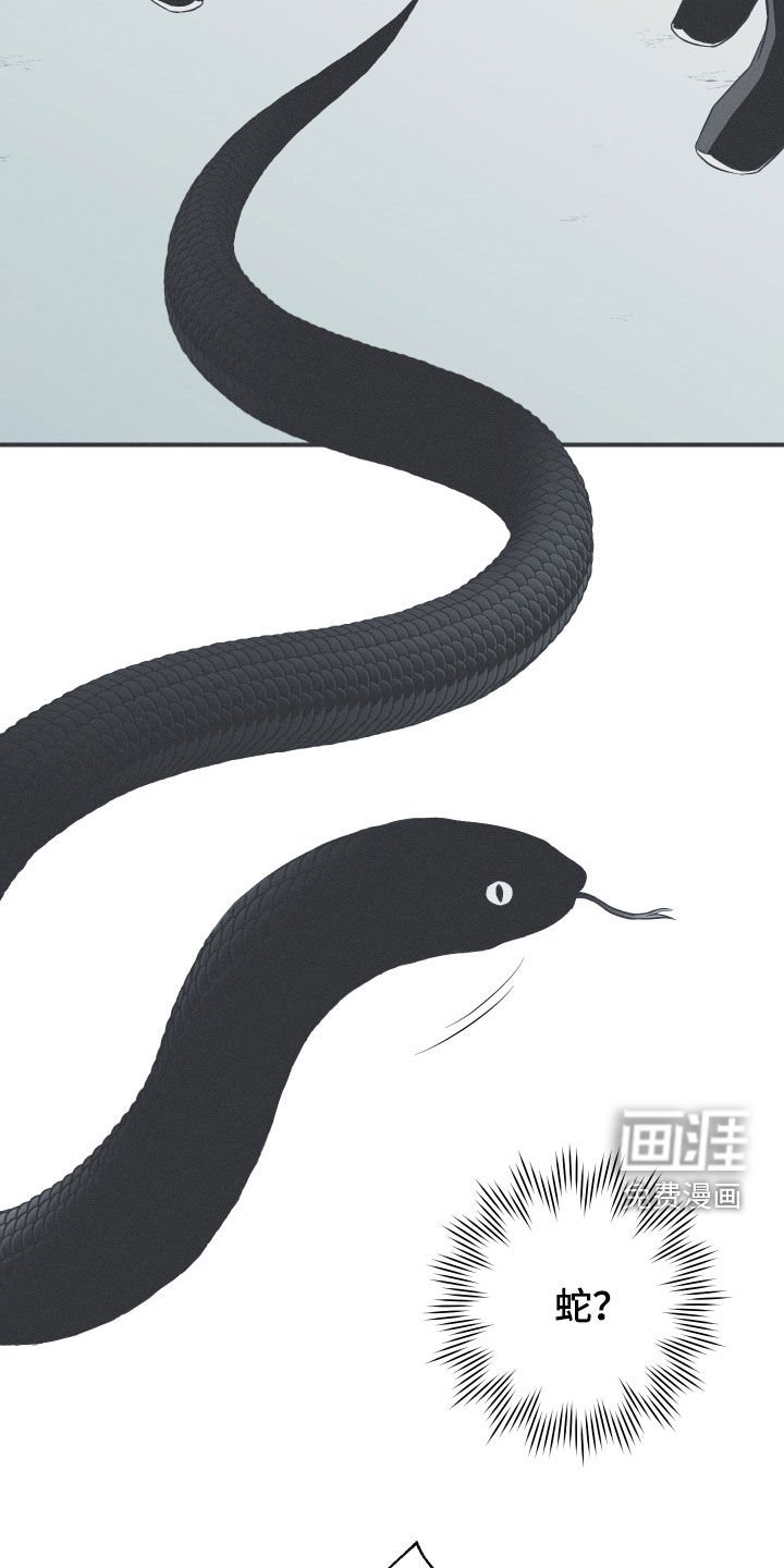 第38章：莲化生徒