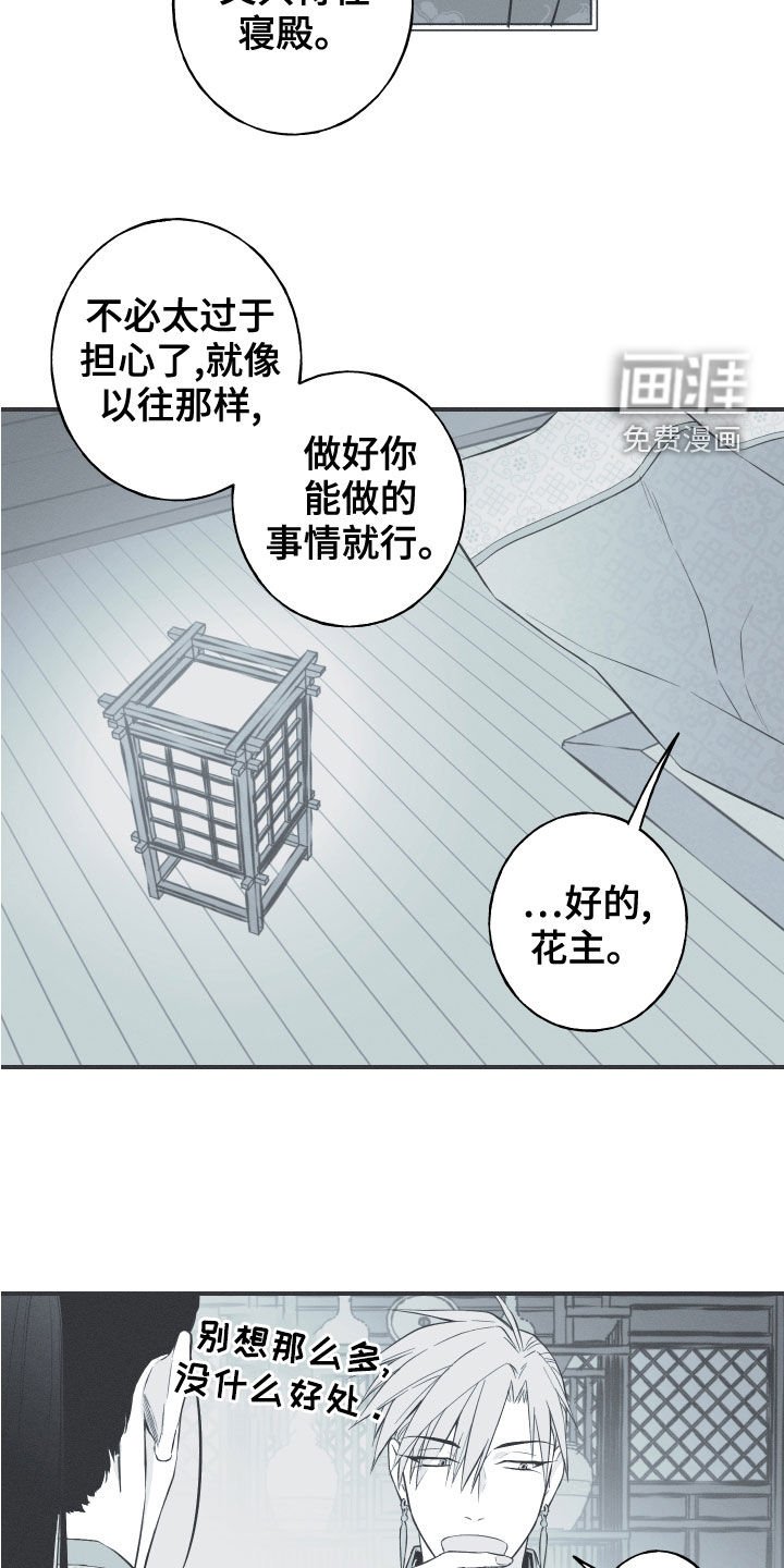 第42章：下一届花主