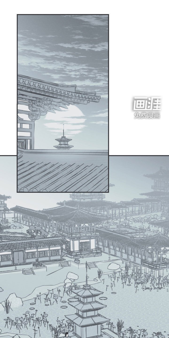 第44章：为我去死