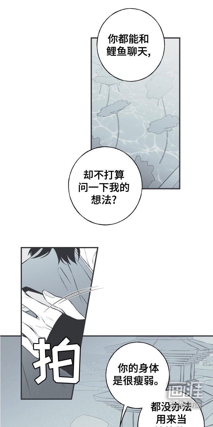 第46章：喜欢