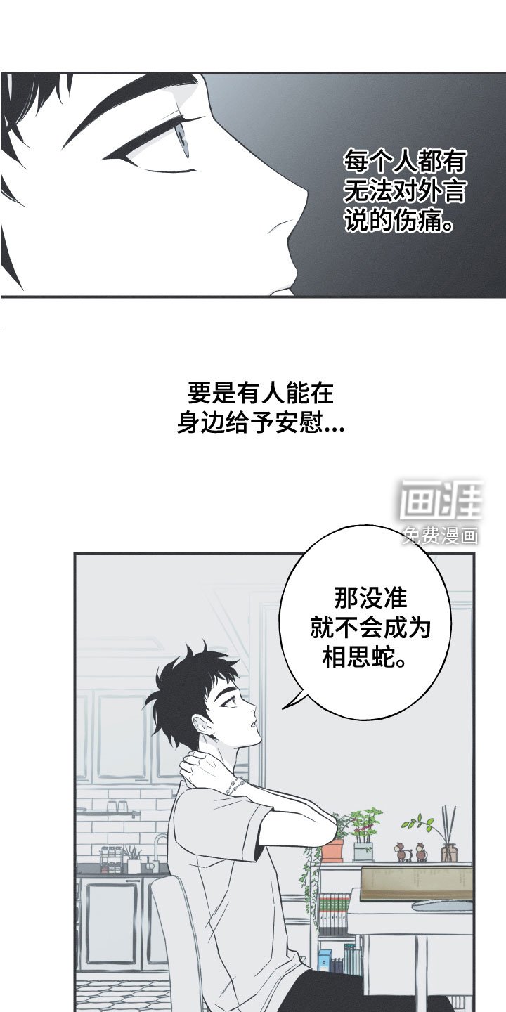 第48章：排解相思