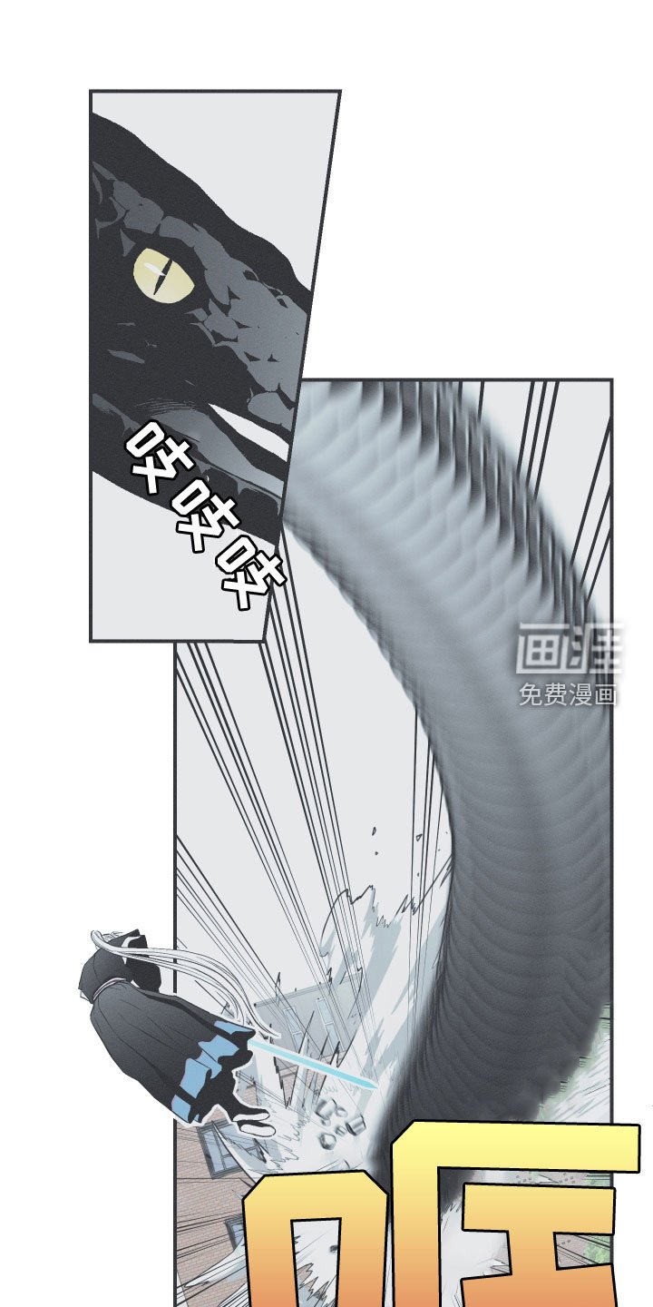 第48章：排解相思