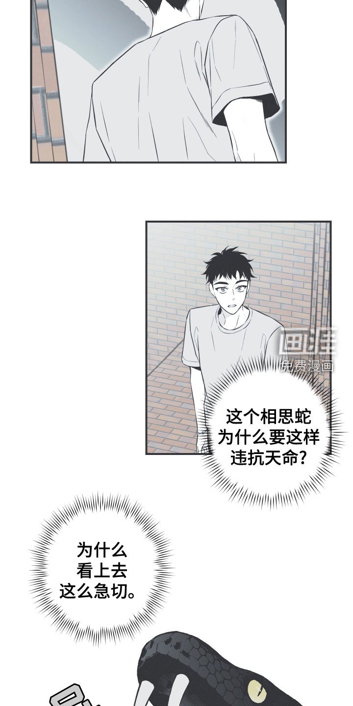 第48章：排解相思