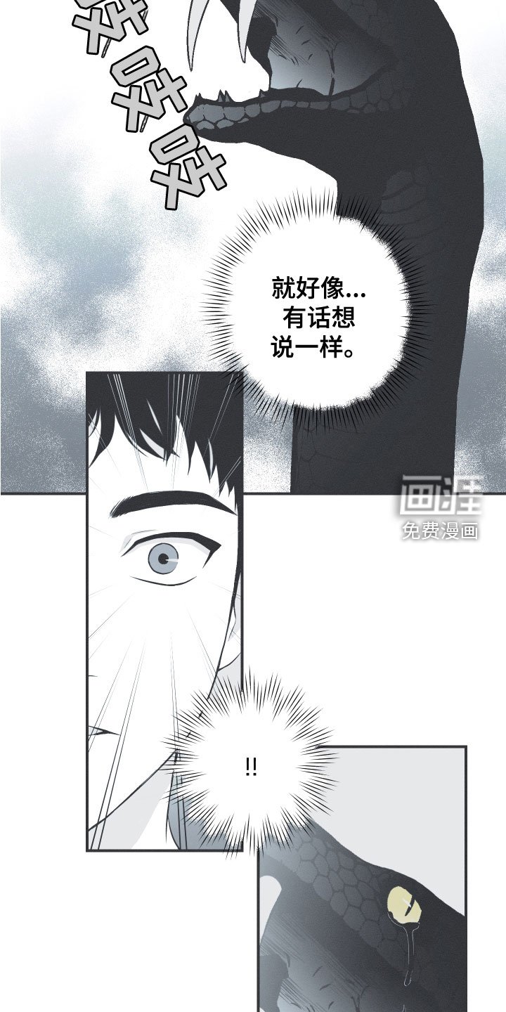 第48章：排解相思