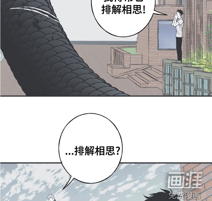 第48章：排解相思