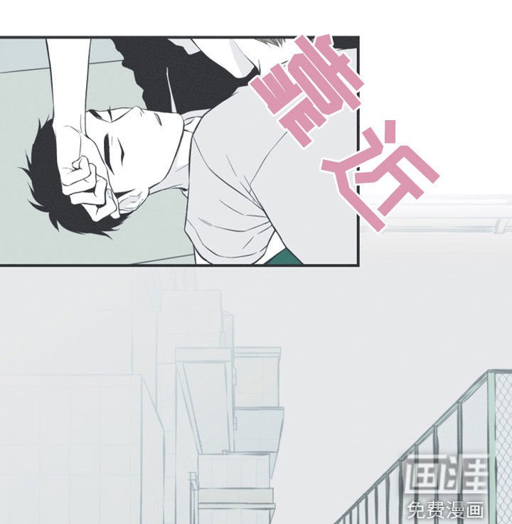 第51章：以后不会难过了