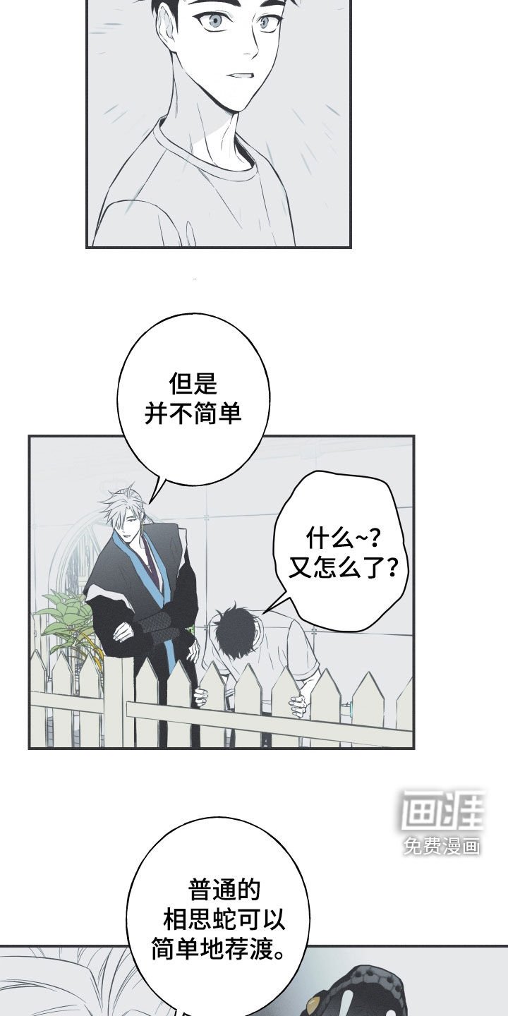 第56章：缓解相思（第一季完结）