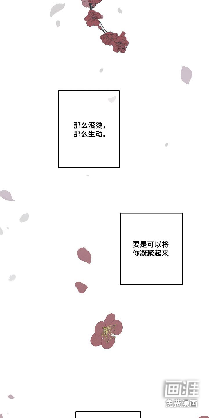 第57章：【第二季】落地