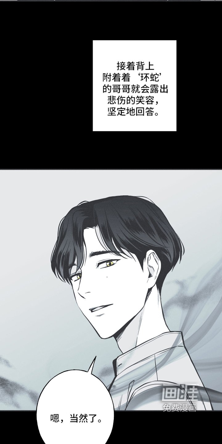 第6章：最终的结果