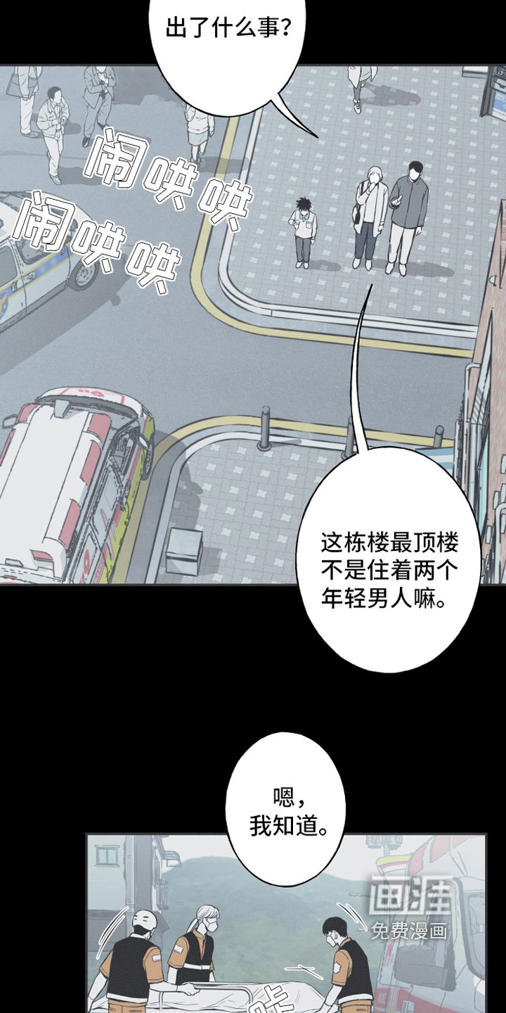 第6章：最终的结果