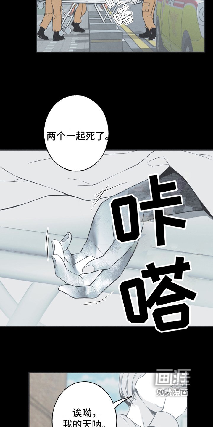 第6章：最终的结果