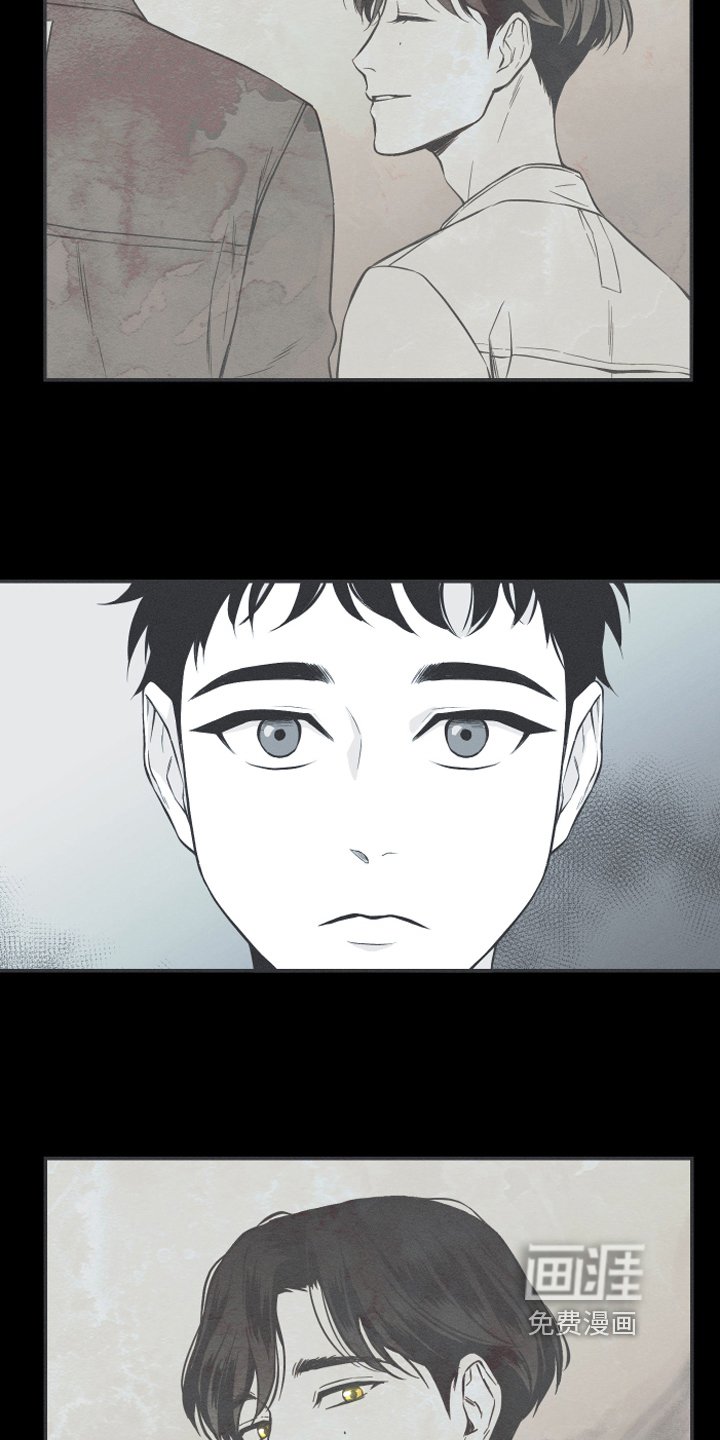 第6章：最终的结果