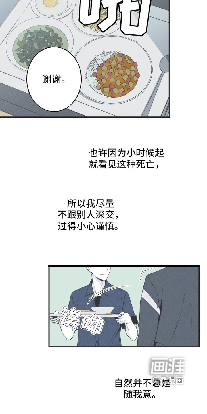 第6章：最终的结果