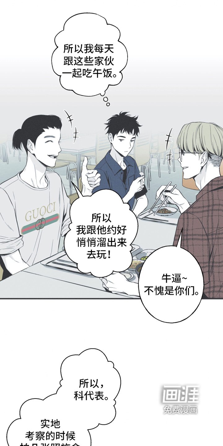 第6章：最终的结果