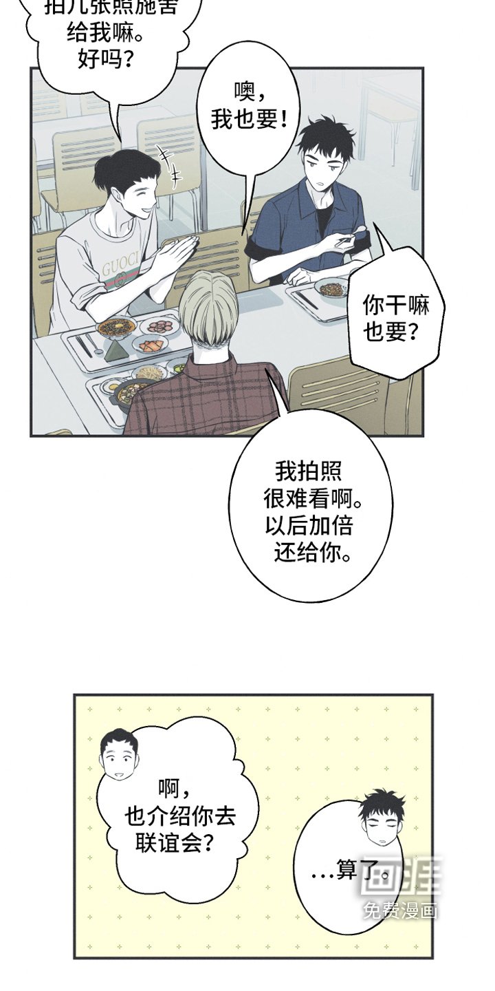 第6章：最终的结果