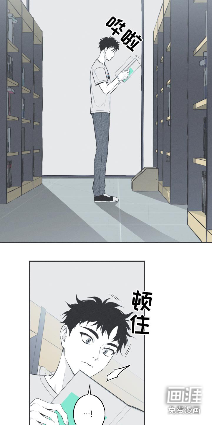第61章：【第二季】很像