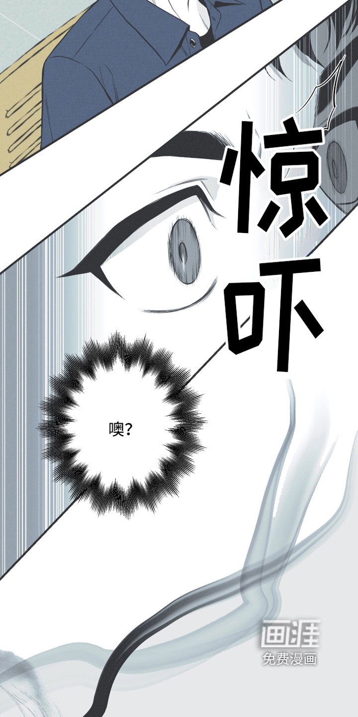 第7章：明了