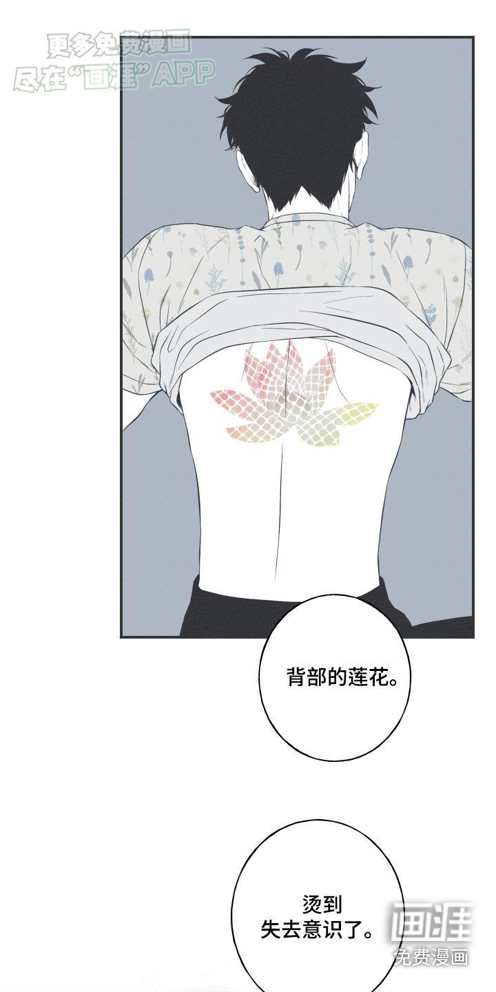 第86章：【第二季】记忆