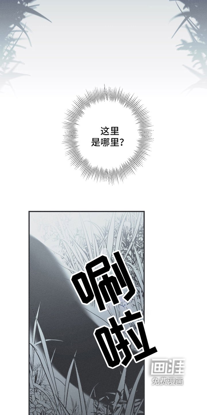 第9章：惊梦