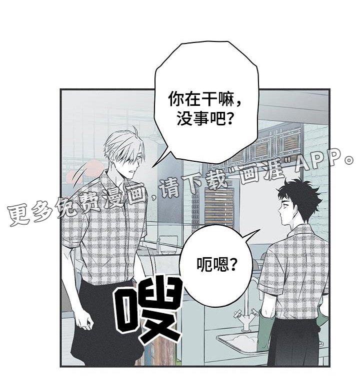 第93章：【第三季】这是什么
