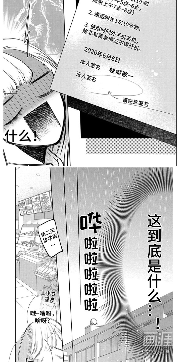 第13章：手机使用合约