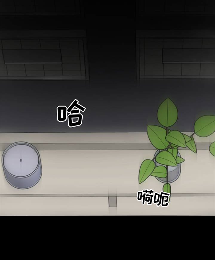 第1章：明星