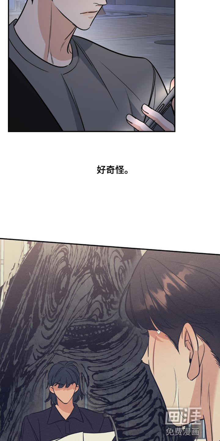 第19章：很多话要说