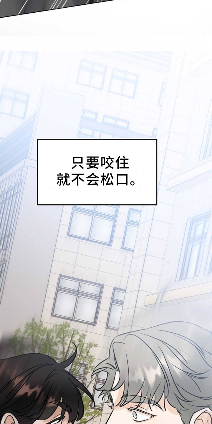 第3章：连接