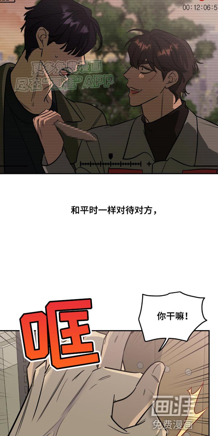 第45章：兔子