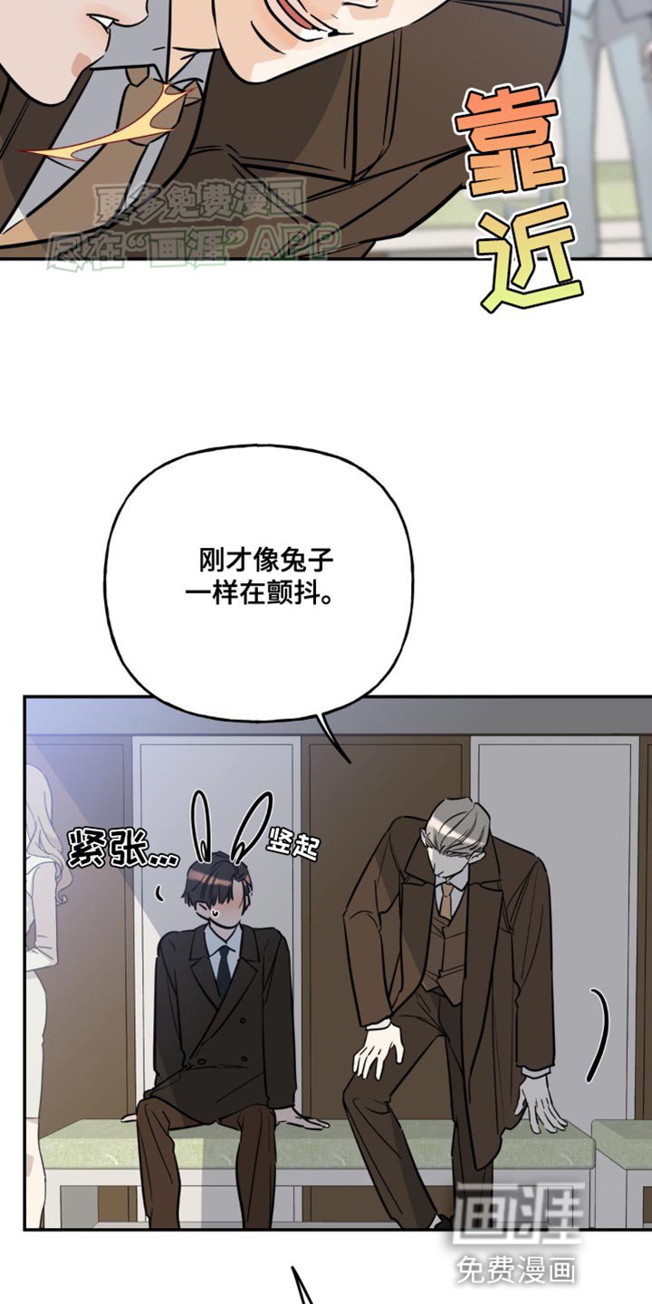 第45章：兔子