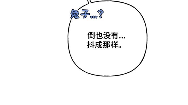 第45章：兔子