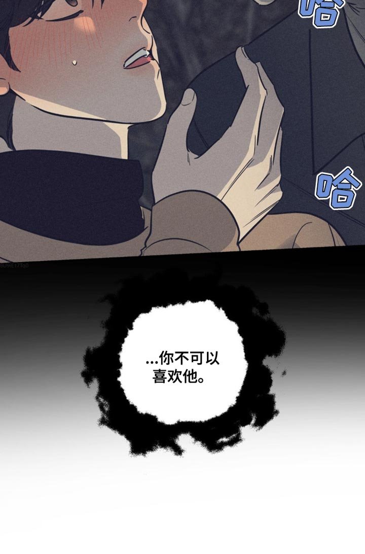 第51章：你不可以喜欢他