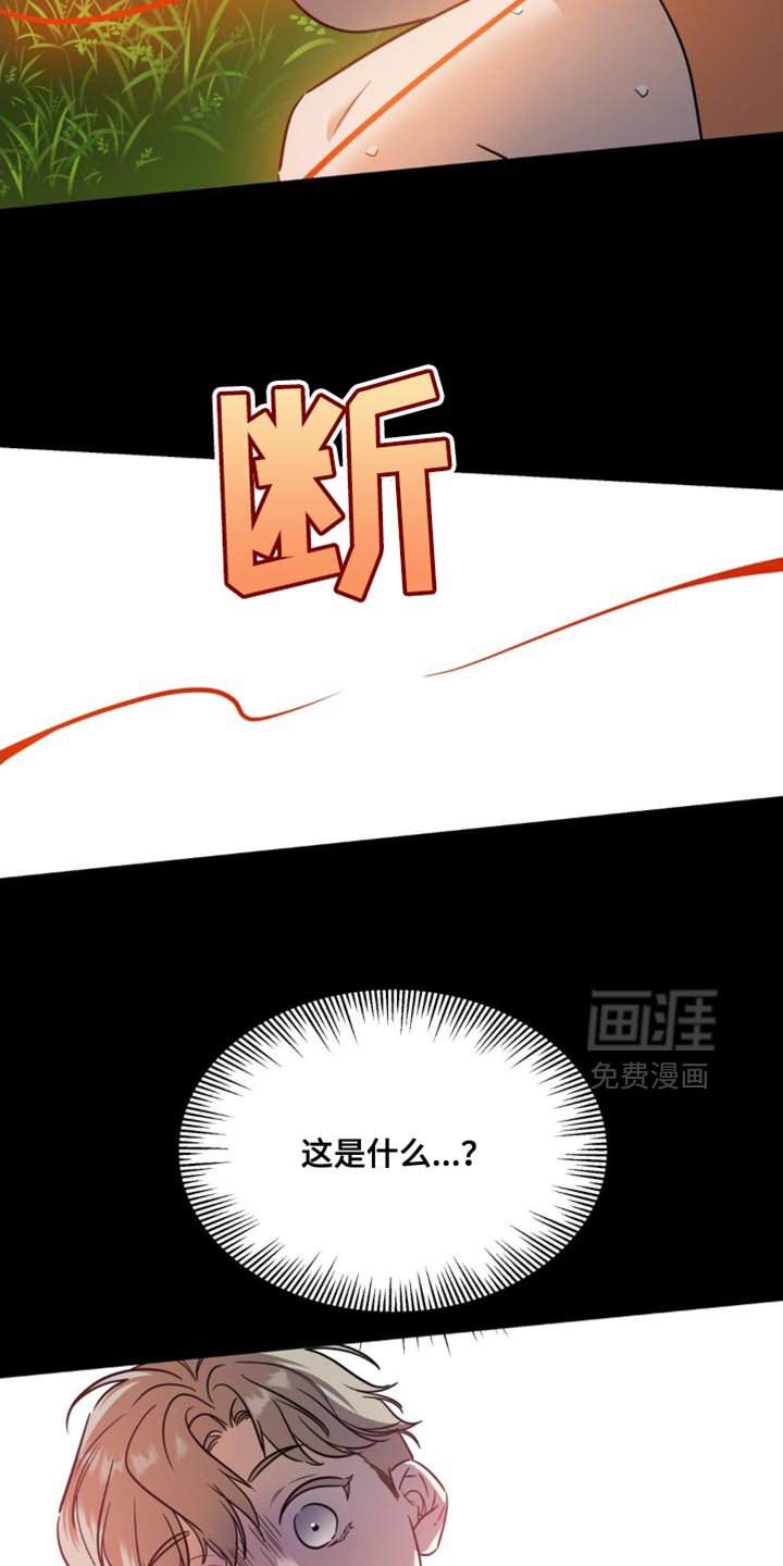 第66章：【第二季】小秘密