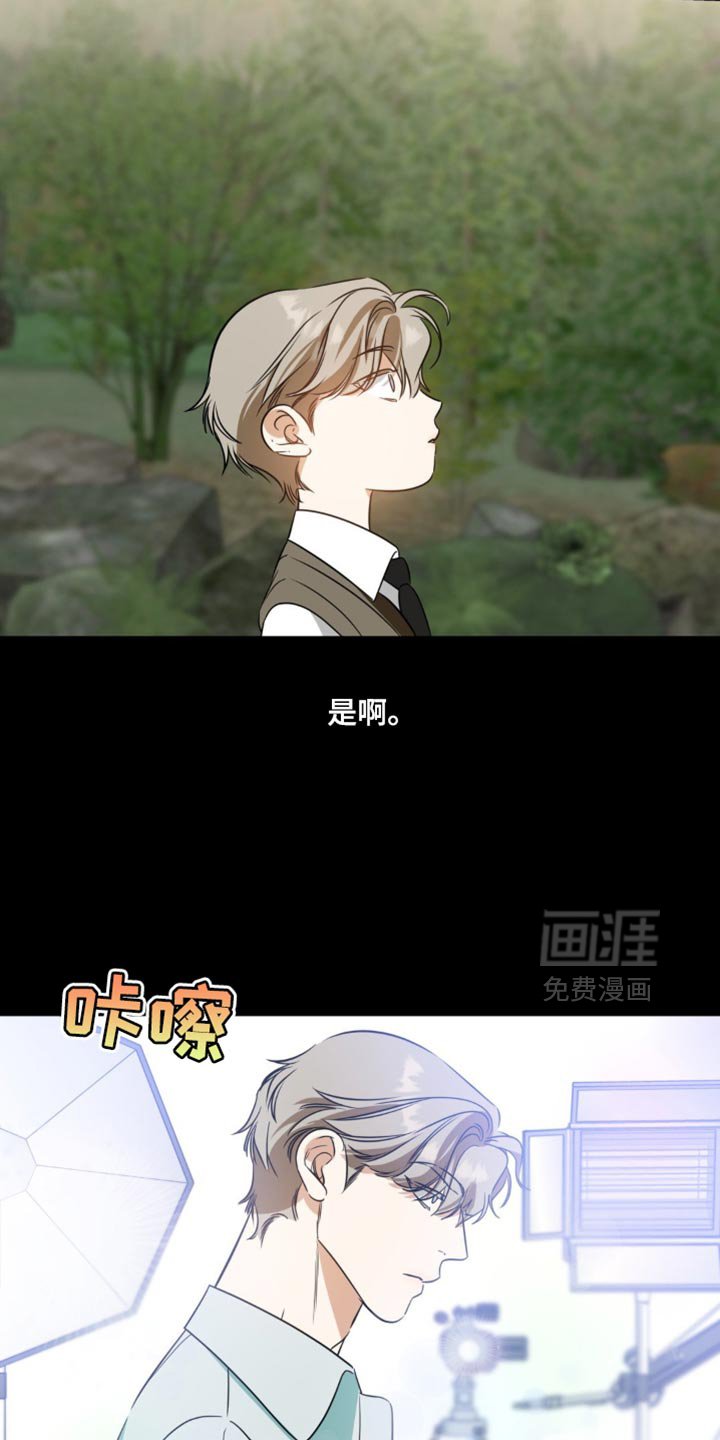 第67章：【第二季】不需要感到愧疚