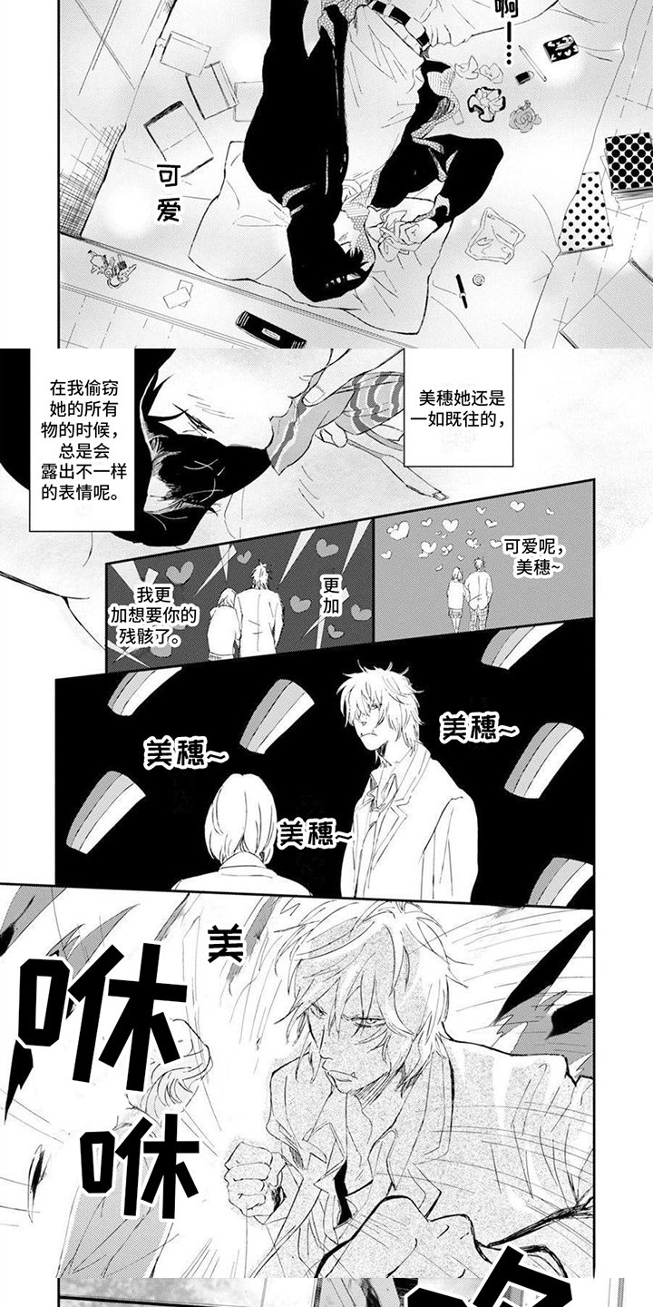 第1章：偷东西