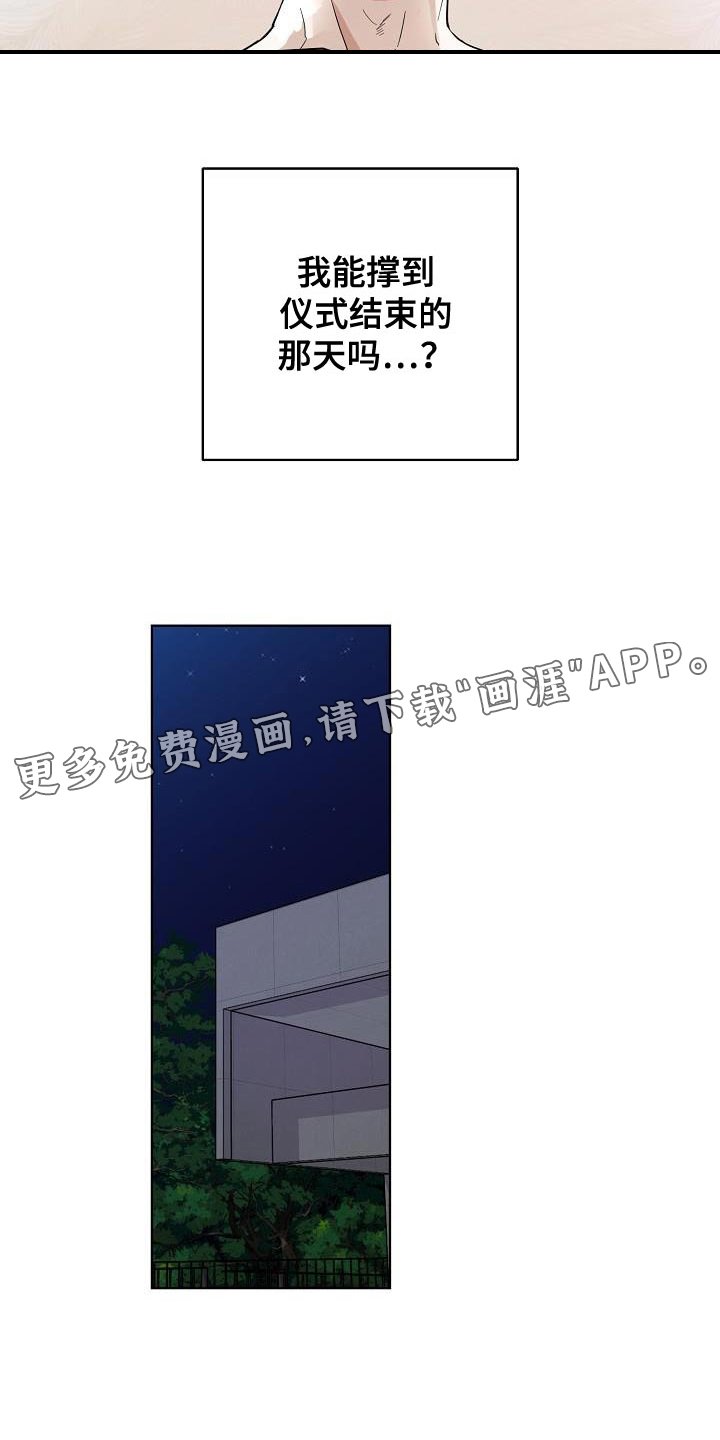 第11章：可爱
