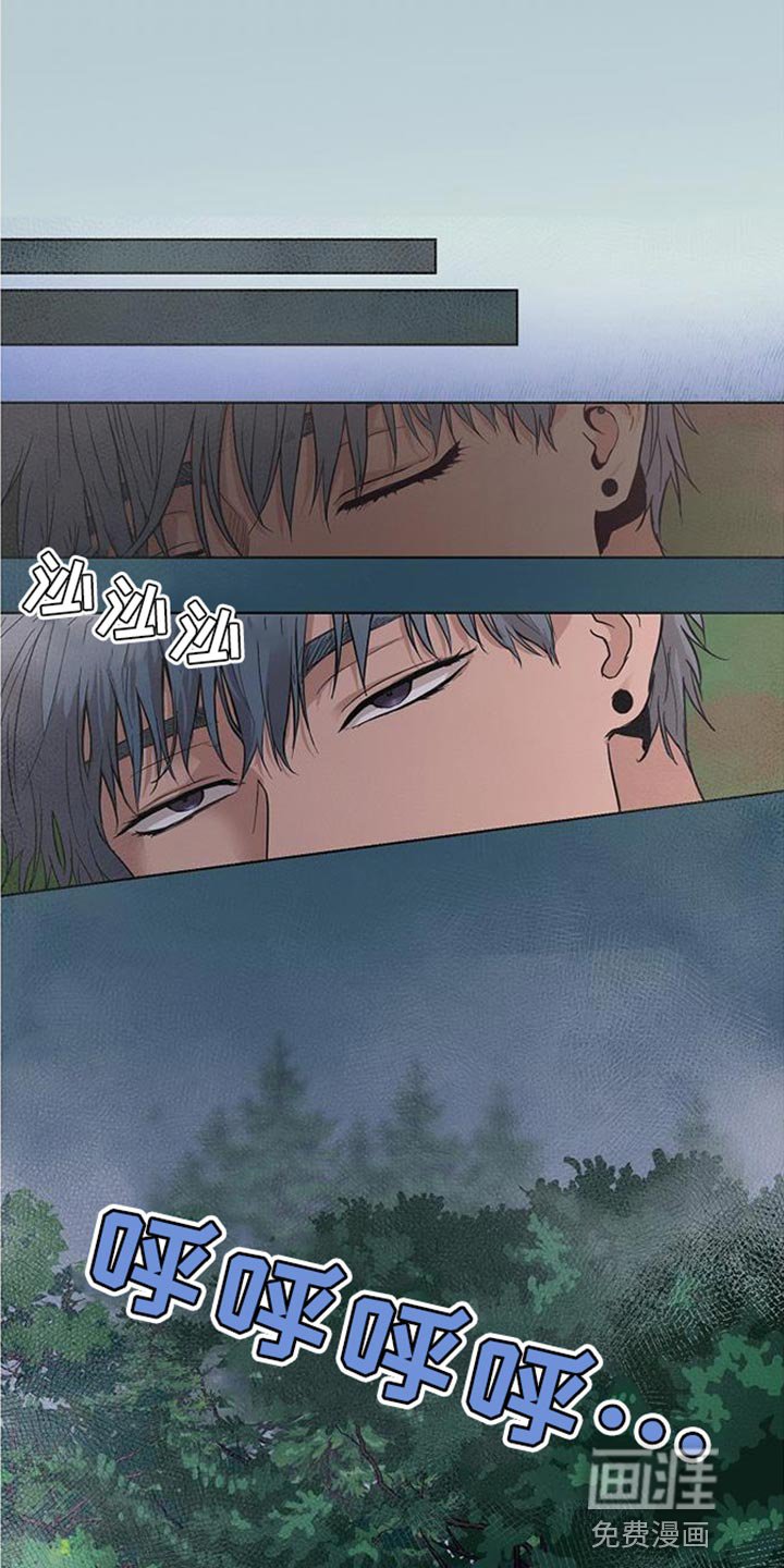 第15章：似曾相识的梦