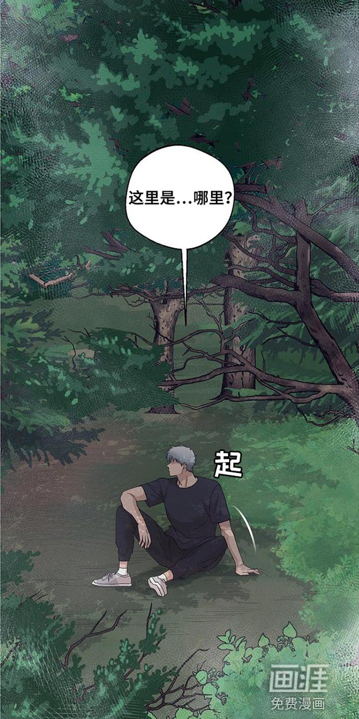 第15章：似曾相识的梦