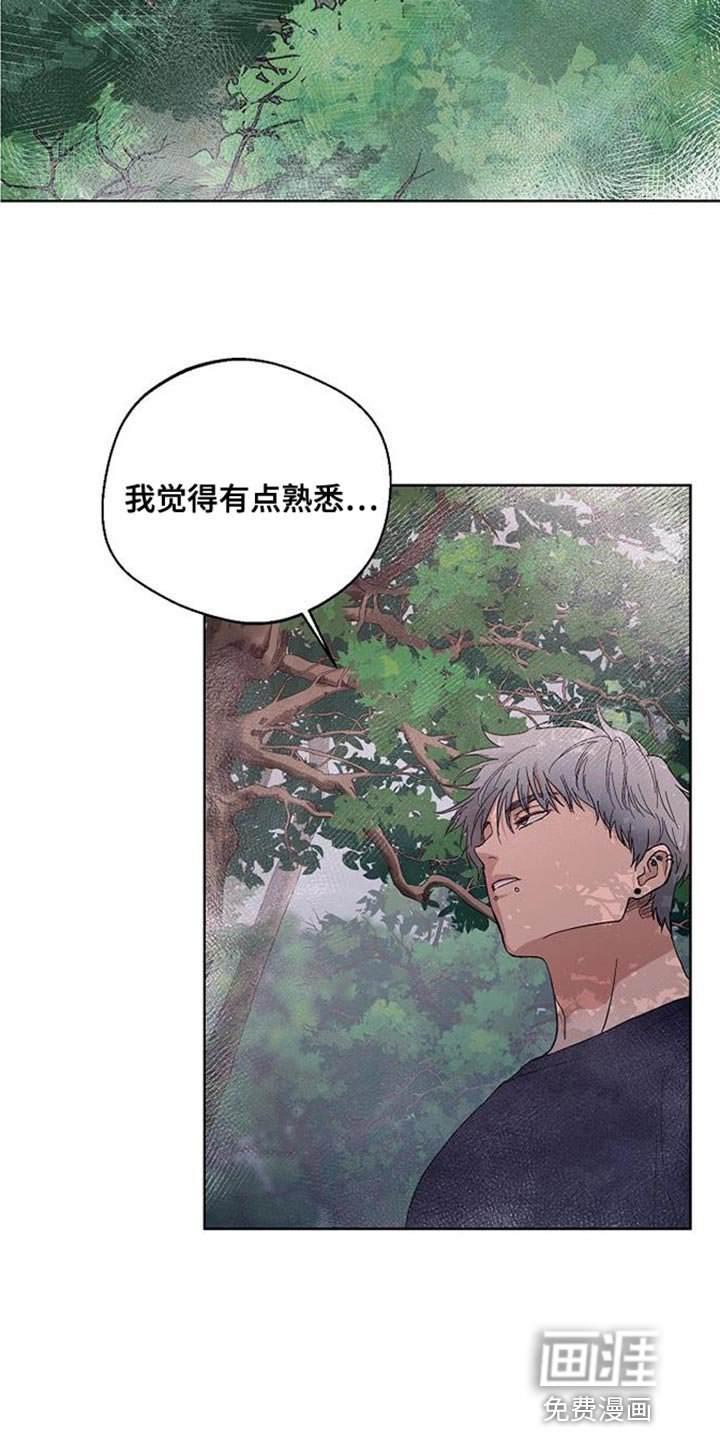 第15章：似曾相识的梦