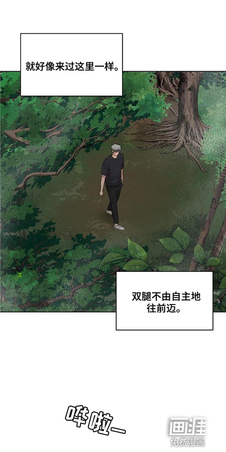第15章：似曾相识的梦